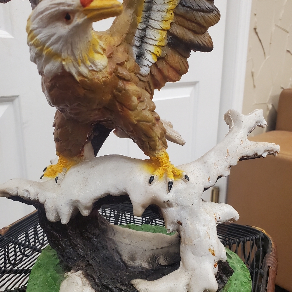 Eagle - Picture 4 of 4